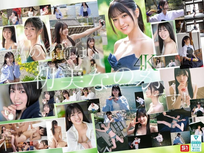 Newcomer NO.1 STYLE: Beauty or Amateur? A Talented Newcomer? cover art