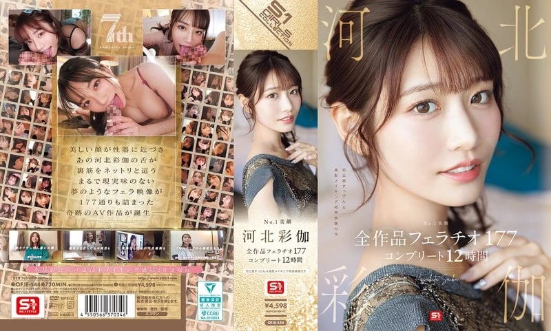 No.1 Beautiful Face Kawakita Sayaka All Works Blowjob 177 Complete 12 Hours cover art